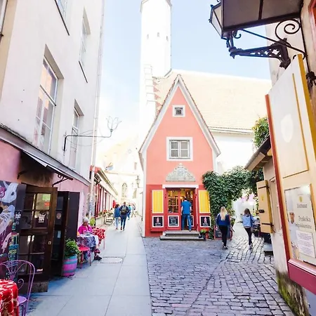 Toompea Castle 2 Bedroom Old Town Lägenhet *